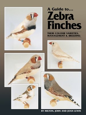 cover image of A Guide to Zebra Finches